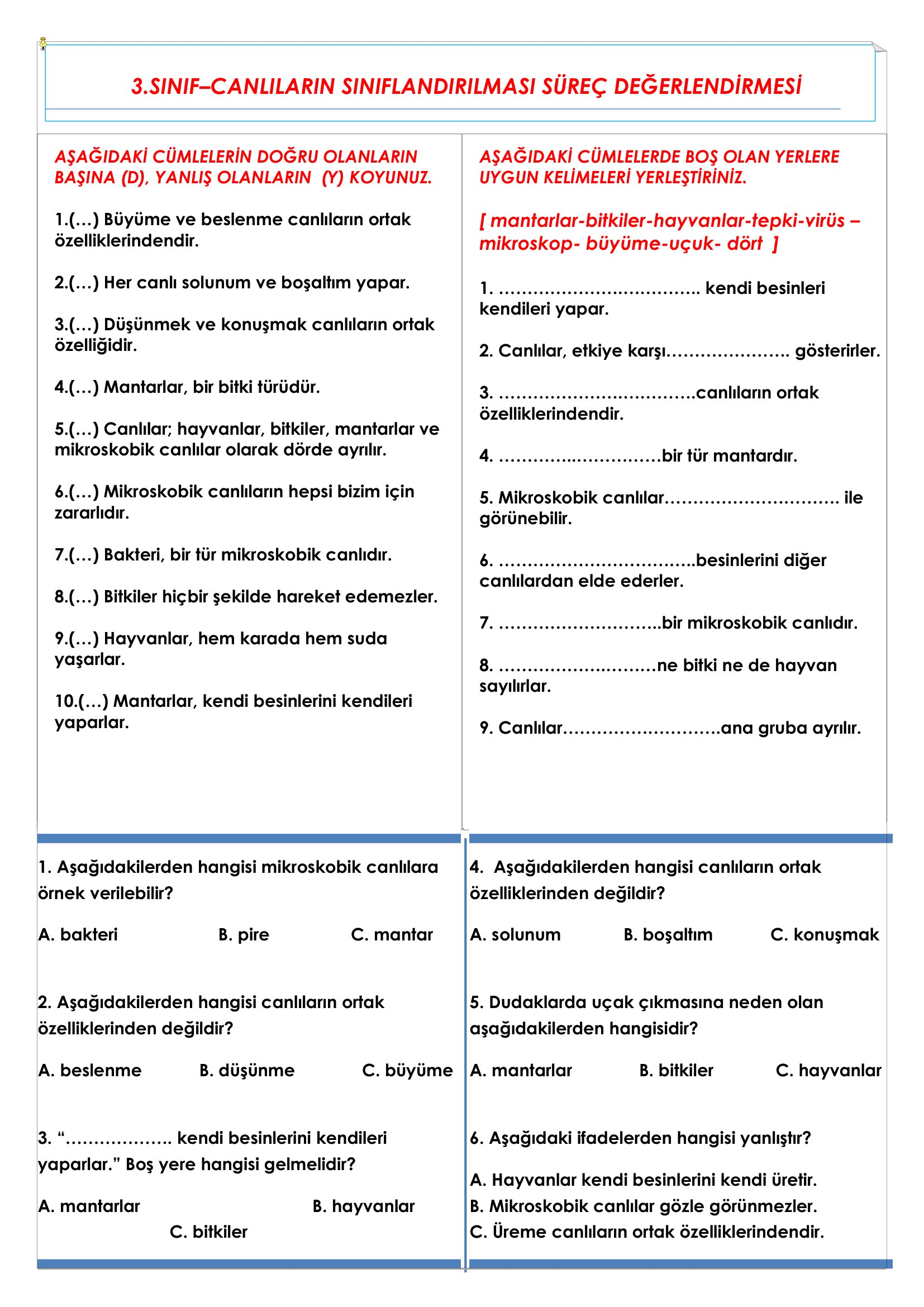 3.Sınıf Fen Bilimleri Canlıların Sınıflandırılması Süreç Değerlendirme