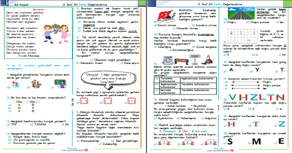 3. Sınıf Haftalık Kazanım Değerlendirme Testi 30. Hafta (27-30 Nisan)