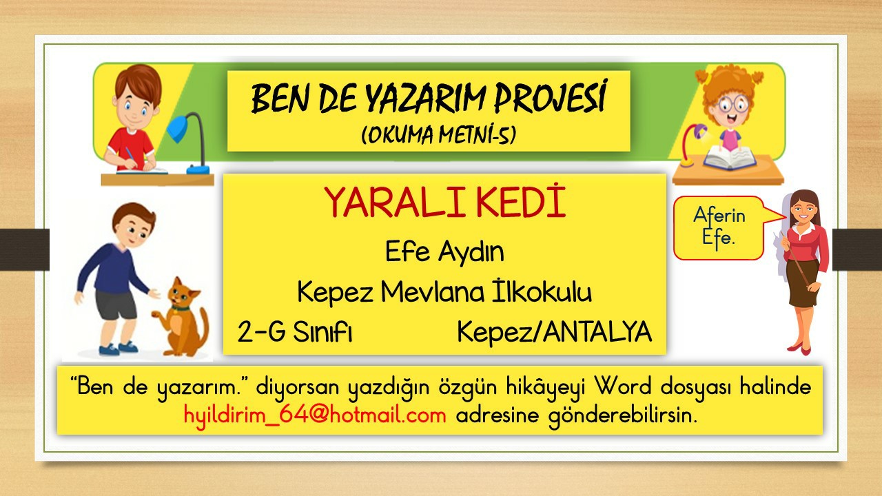 Ben de Yazarım Projesi - Okuma Metni-5 (Yaralı Kedi)