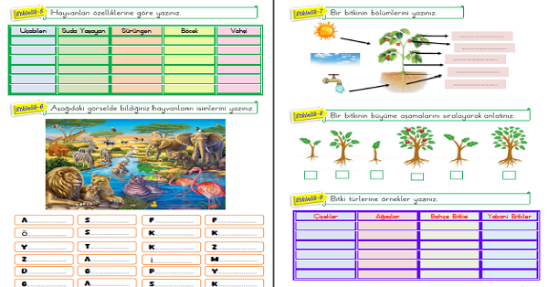 1. Sınıf Hayat Bilgisi Doğayla Baş Başa Etkinliği