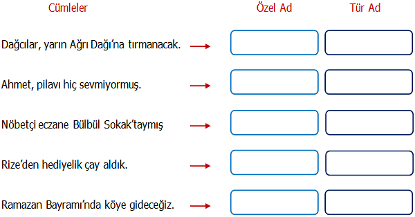 4.Sınıf Türkçe Özel İsim, Cins İsim (Tür Ad) Etkinliği 2