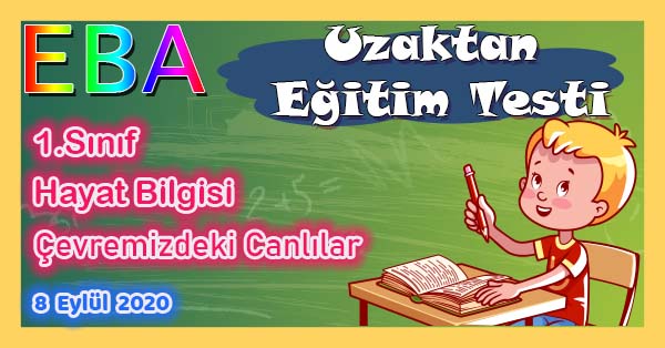 1.Sınıf Hayat Bilgisi Çevremizdeki Canlılar Uzaktan Eğitim Testi pdf