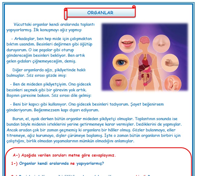 2.Sınıf Türkçe Organlar  Okuma Anlama Metin Çalışması