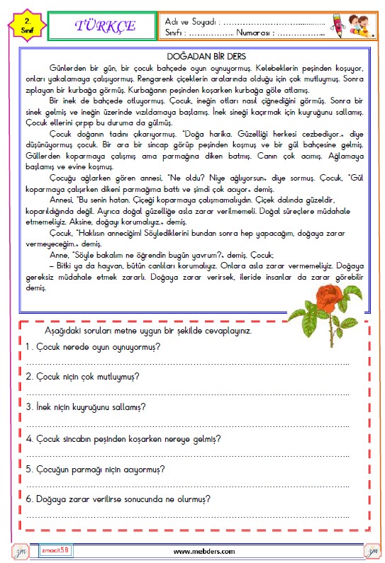2. Sınıf Türkçe Okuma ve Anlama Etkinliği (Doğadan Bir Ders)