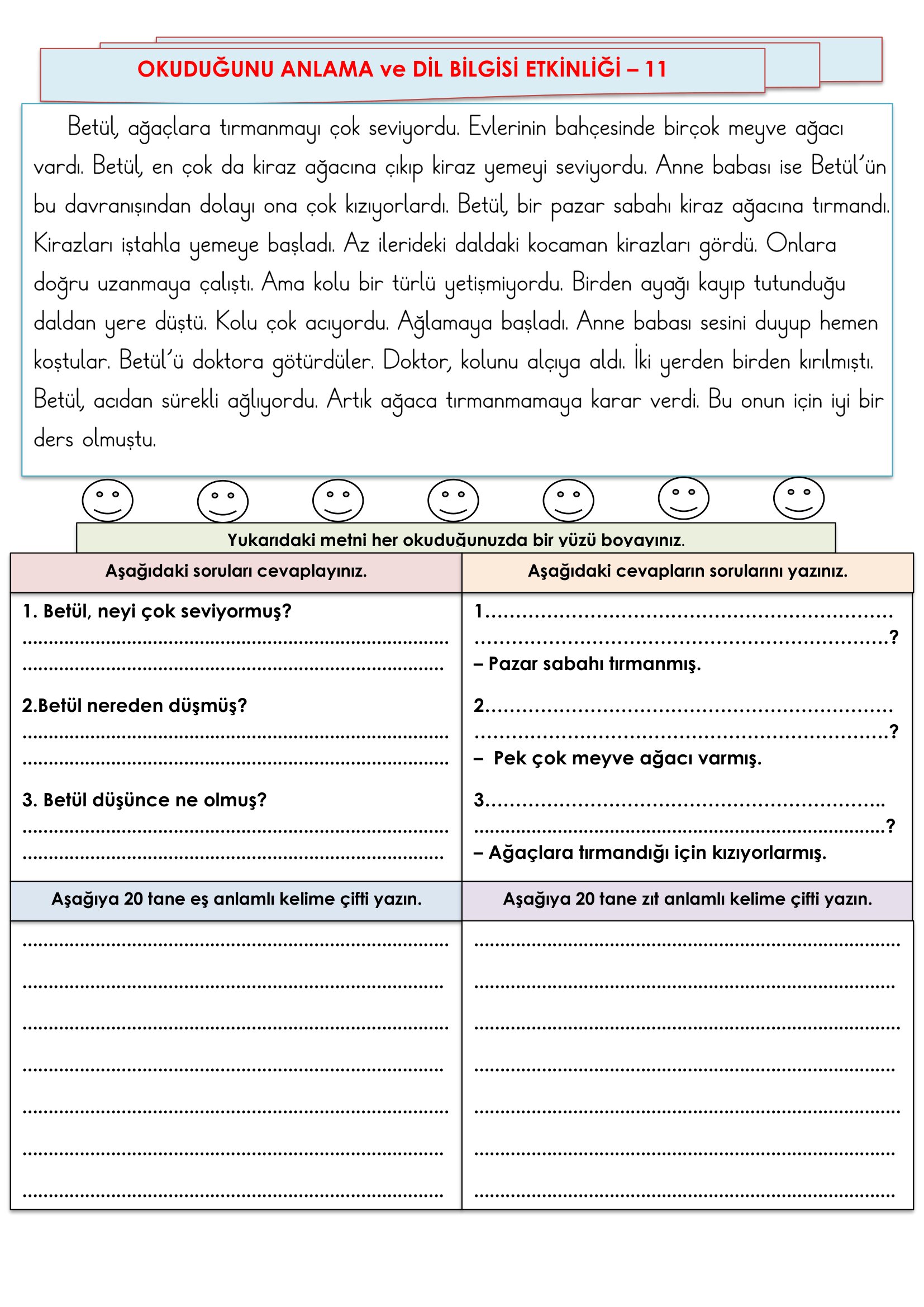 2.Sınıf - Türkçe Okuduğunu Anlama ve Dil Bilgisi Etkinliği-11