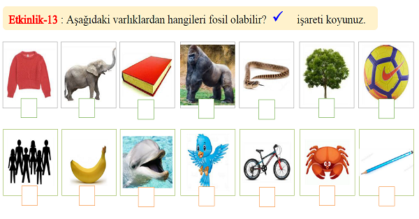 4.Sınıf Fen Bilimleri Fosiller Etkinliği ve Test