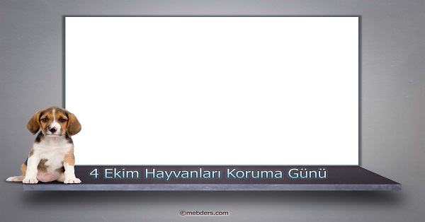 4 Ekim Hayvanları Koruma Günü Resim Yapma Şablonu