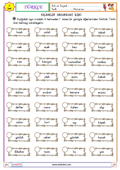 3. Sınıf Türkçe Kelimeler Arasındaki İlişkiler Etkinliği