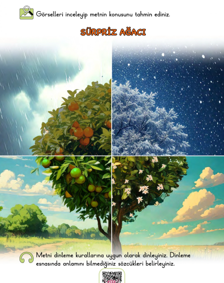 2. Sınıf Türkçe Meb Yayınları Sürpriz Ağacı Metni Etkinlik Cevapları