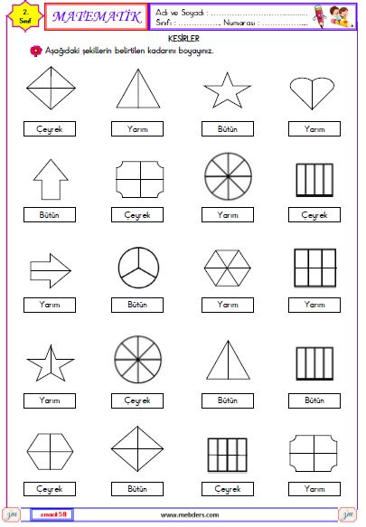 2. Sınıf Matematik Bütün, Yarım, Çeyrek Etkinliği 2