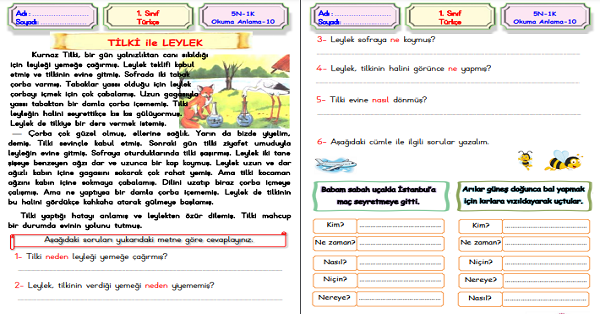 1.Sınıf Türkçe 5N 1K Okuma Anlama Etkinliği