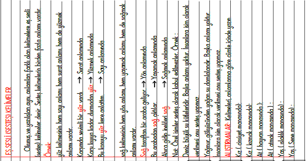 3.Sınıf - Türkçe Eş Sesli (Sesteş) Kelimeler Konu Anlatımı