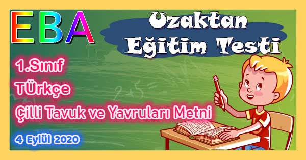 1.Sınıf Türkçe Çilli Tavuk ve Yavruları Metni Uzaktan Eğitim Testi pdf