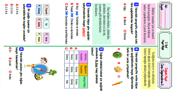 3.Sınıf Hayat Bilgisi Doğada Hayat Ünite Değerlendirme-3