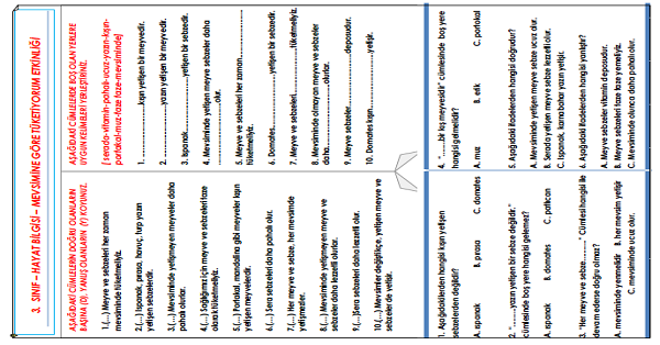 3.Sınıf - Hayat Bilgisi Mevsimine Göre Tüketiyorum Etkinliği