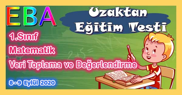 1.Sınıf Matematik Veri Toplama ve Değerlendirme Uzaktan Eğitim Testi pdf