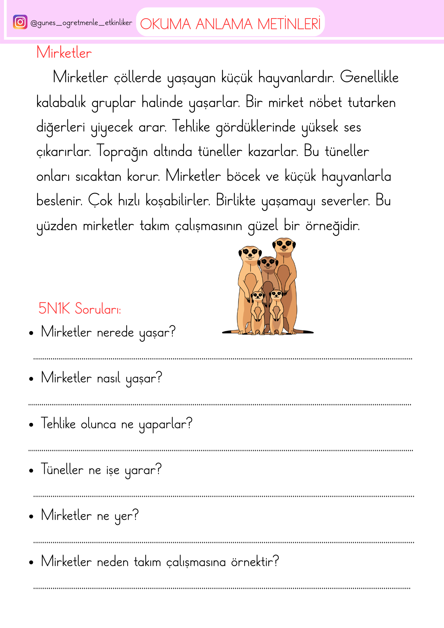 1.Sınıf Okuma Anlama Metinleri