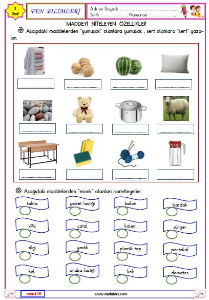 3. Sınıf Fen Bilimleri Maddeyi Niteleyen Özellikler Etkinliği 1