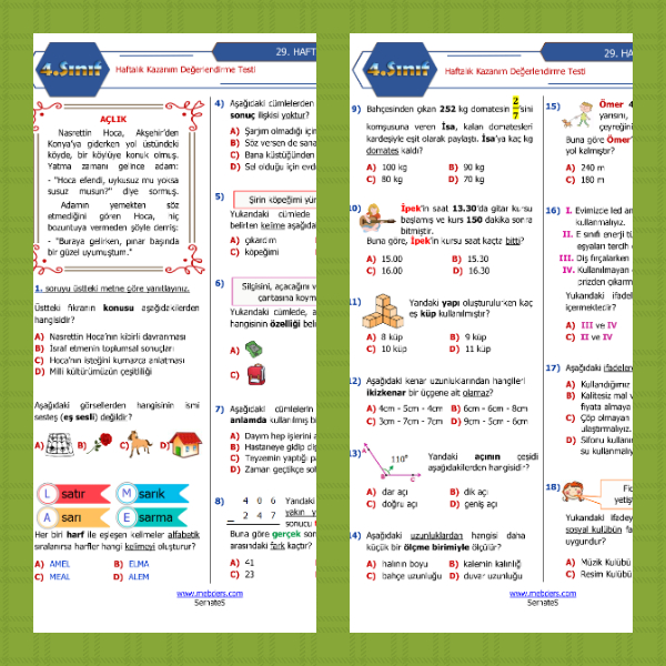 4. Sınıf Haftalık Değerlendirme Testi - 29. Hafta