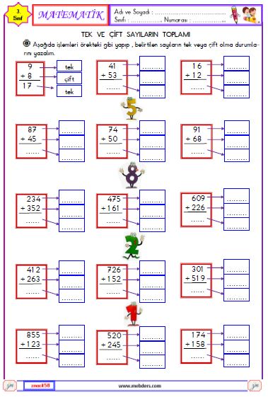 3. Sınıf Matematik Tek ve Çift Sayılarla Toplama İşlemi Etkinliği