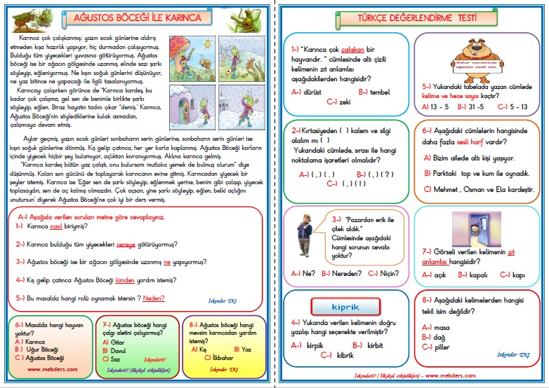 1.Sınıf Türkçe Ağustos Böceği ile Karınca  Değerlendirme Çalışması  8