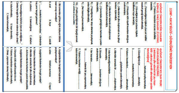 3.Sınıf - Hayat Bilgisi Güvenliğimiz Tehlikedeyken Etkinliği 2