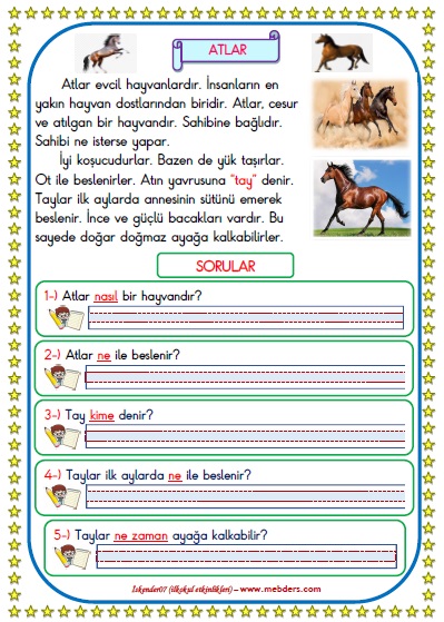 1.Sınıf Türkçe Atlar  Okuma Anlama Metin Çalışması  2