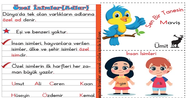 1.Sınıf Türkçe Özel İsimler İnteraktif Defter Çalışması