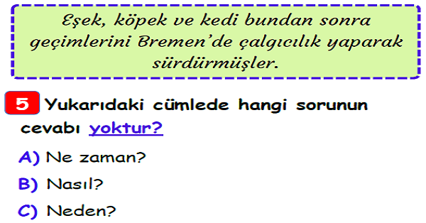 3.Sınıf Türkçe 5N 1K Yaprak Test-2