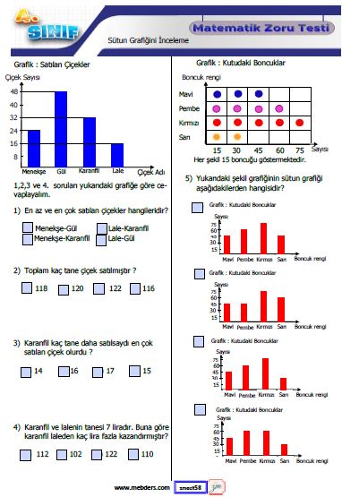 4. Sınıf Matematik  Sütun Grafiğini İnceleme  Testi