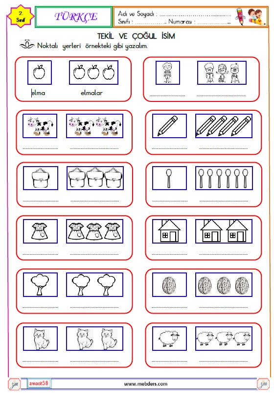 2. Sınıf Türkçe Tekil ve Çoğul İsimler Etkinliği