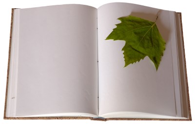 Yapraklı çizgisiz kitap resmi png