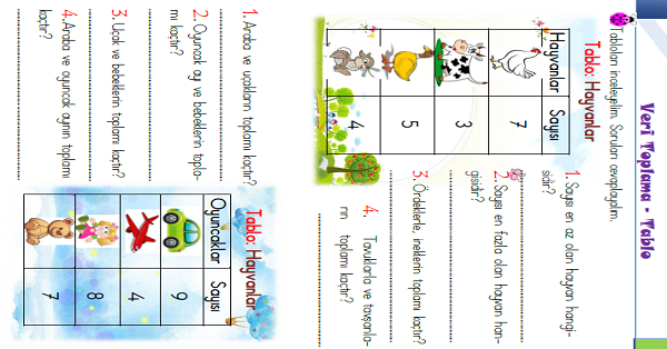 1.Snıf Matematik Veri Toplama ve Tablo Etkinliği-1