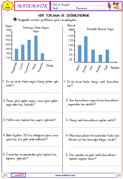 4. Sınıf Matematik Veri Toplama ve Değerlendirme Etkinliği 1