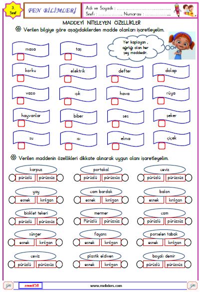 3. Sınıf Fen Bilimleri Maddeyi Niteleyen Özellikler Etkinliği 2