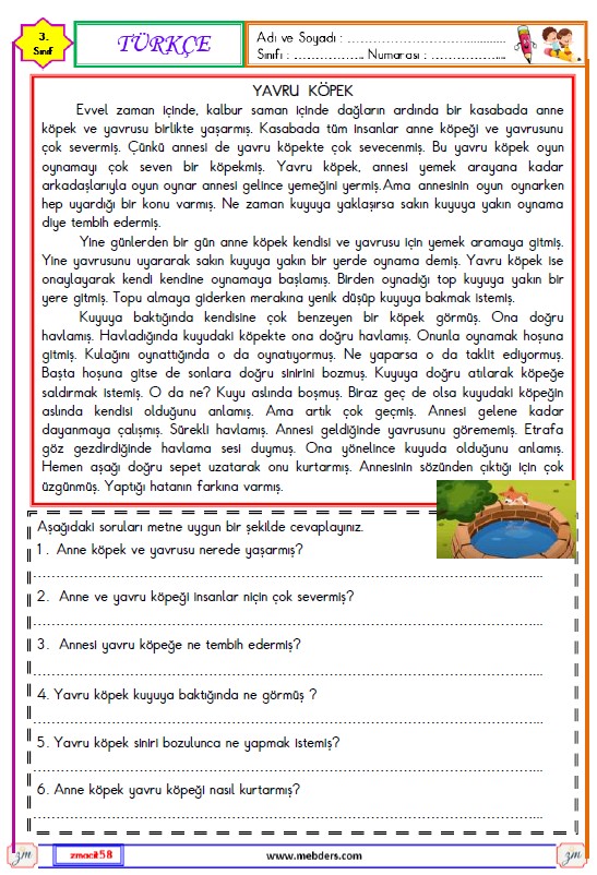 3. Sınıf Türkçe Okuma ve Anlama Metni  Etkinliği (Yavru Köpek)