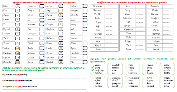 4. Sınıf Türkçe Zıt Anlamlı Kelimeler 3