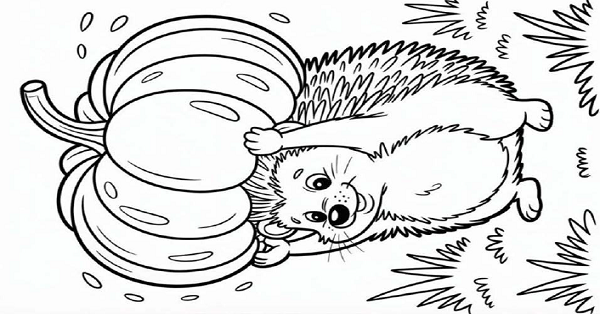 Boyama Çalışması Kabak Taşıyan Kirpi