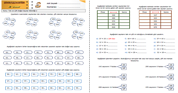 3.Sınıf Matematik Tek ve Çift Doğal Sayılar Etkinliği 2