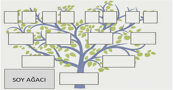 4.Sınıf Sosyal Bilgiler Ailemin Tarihi (Soy Ağacı) Etkinliği 1