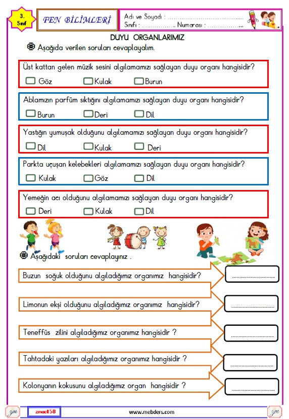 3. Sınıf Fen Bilimleri Duyu Organlarımız Etkinliği 2