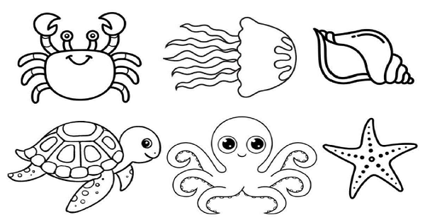 Boyama Çalışması Deniz Canlıları 2