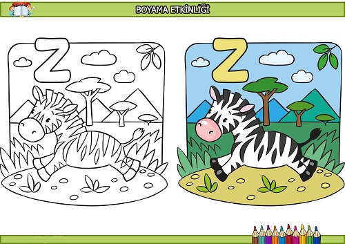 Zebra boyama etkinliği