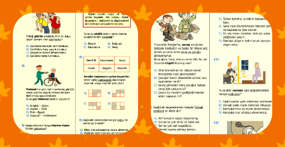 4. Sınıf Sosyal Bilgiler Onun Yerinde Olsaydım Kazanım Testi