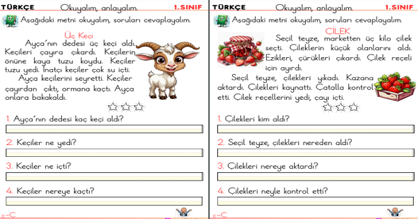 1. Sınıf İlk Okuma Yazma  Ç Sesi Okuma Anlama Etkinliği (2 Sayfa)