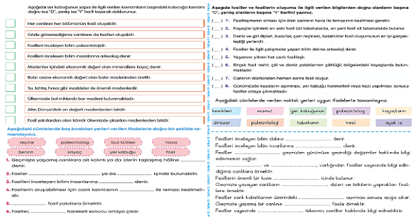 4. Sınıf Fen Bilimleri Fosiller 1