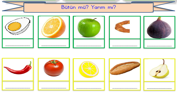 1.Sınıf Matematik Kesirler (Bütün-Yarım)-1