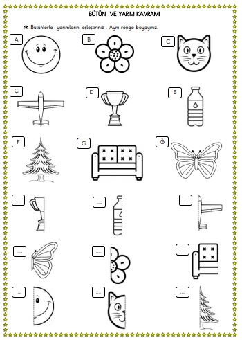 1. Sınıf Matematik Bütün ve Yarım  Etkinliği 3