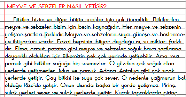 3.Sınıf - Hayat Bilgisi Meyve ve Sebzeler Nasıl Yetişir Defter Özeti
