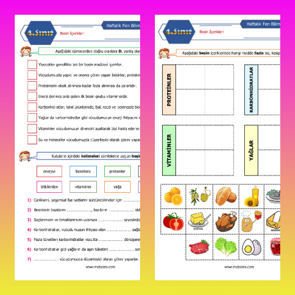 4. Sınıf Fen Bilimleri - Besin İçerikleri Etkinlikleri